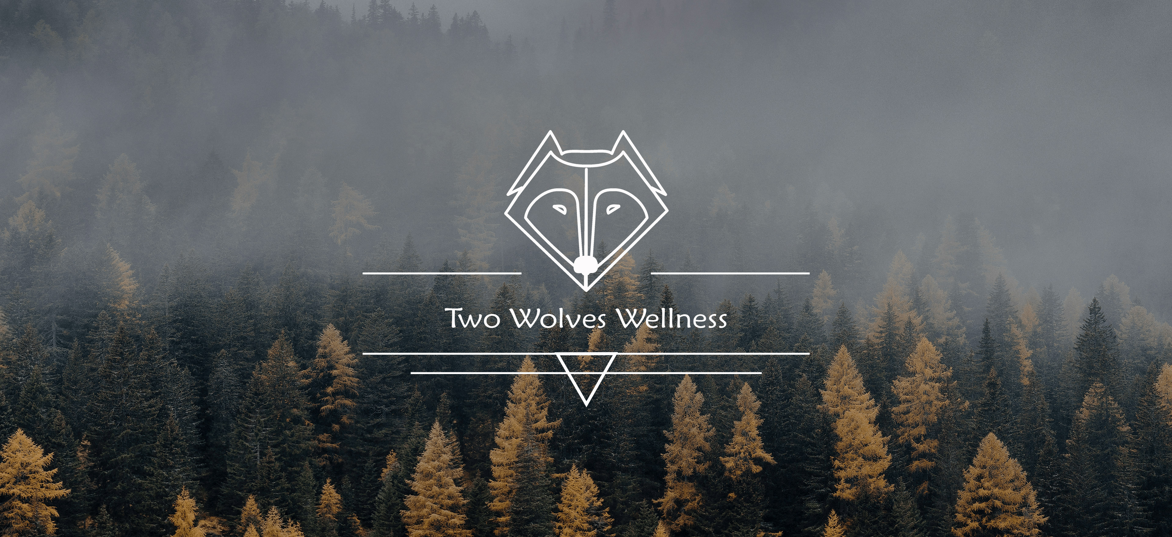 Two Wolves Wellness - Header 6