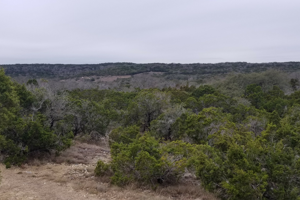 The Great Outdoors: Friedrich Wilderness Park